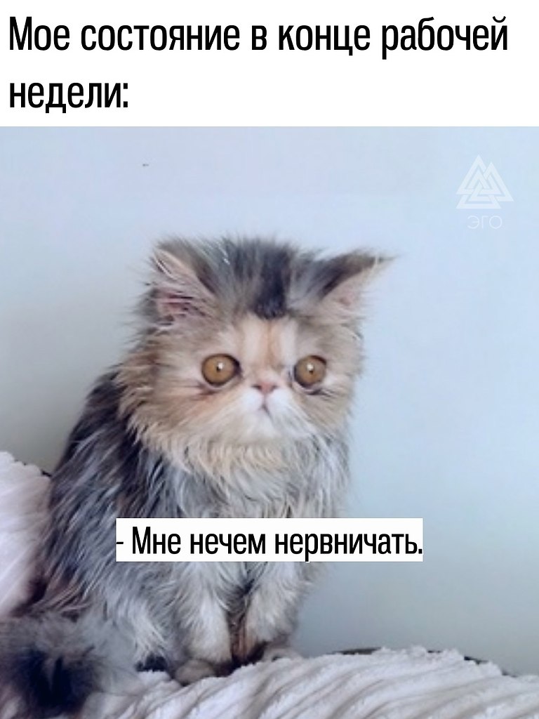  | ,  - 20  2025  16:40