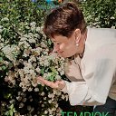 ���� ��������, ������, 53 ���� - ��������� 2 ���� 2025