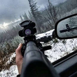 �����, ������, 37 ���