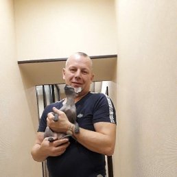 ���� ����, ����, 51 ��� - ��������� 19 ���� 2024