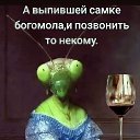 ���� Lili, ������ - ��������� 4 ���� 2025 � ������ ���� ����������