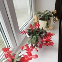 ���� ������, ���������, 74 ���� - ��������� 14 ������ 2025 � ������ ���� ����������