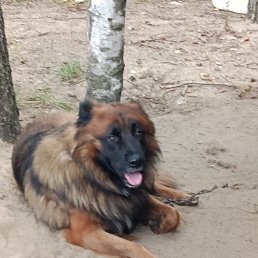 ���� ���, �������, 50 ��� - ��������� 24 ������� 2025