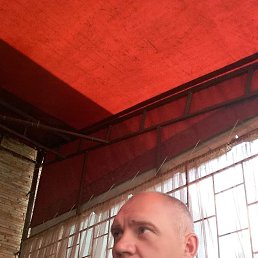 ������, 47 ���, ������