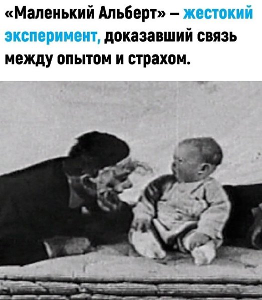   ? - 20  2025  19:30