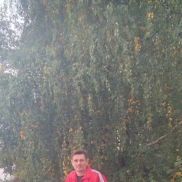 �������, ������, 53 ����