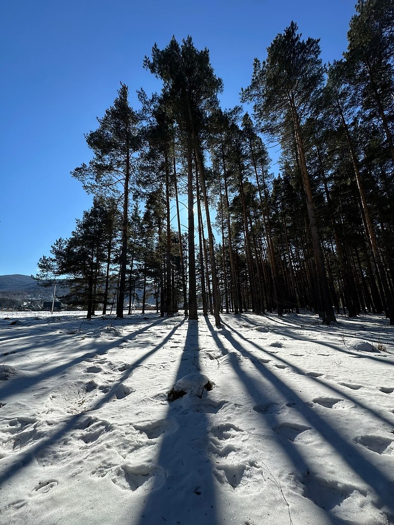 �ec������a a�ac��. ������� �o����, �paco�a �ec�o�o �apc��a. �ap�ca e���e�a - 2