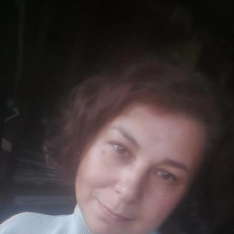 ����, �����-���������, 46 ���