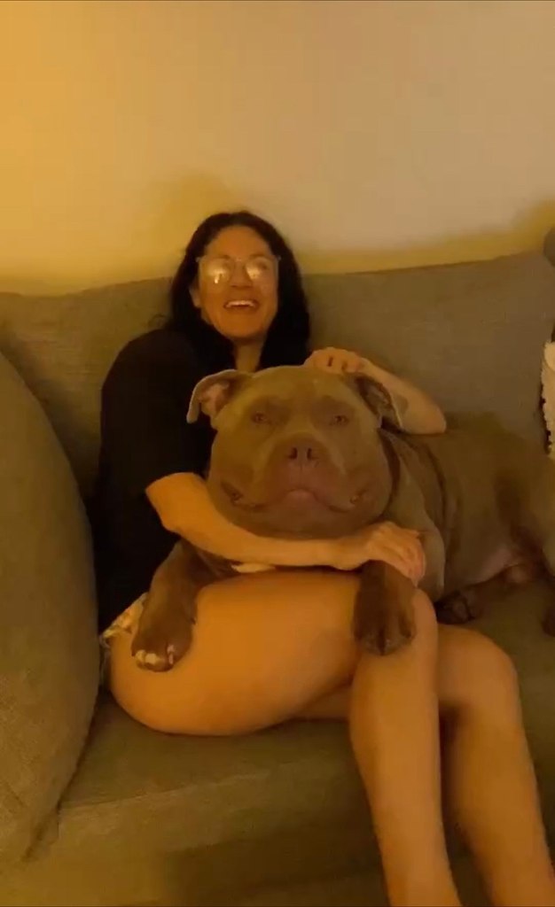 coa ce apcc po c aepac  o e .  ca o-acoe ...