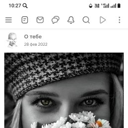 ���� ��������, ���������, 41 ��� - ��������� 8 ��� 2026