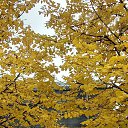 ���� ����, ������, 33 ���� - ��������� 17 ������� 2025 � ������ ���� ����������