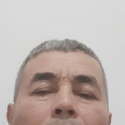 , 51, 