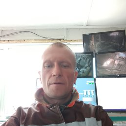 ����, 44 ����, ����������