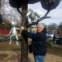 ���� ���������, ��������, 58 ��� - ��������� 9 ������� 2024 � ������ ���� ����������