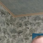 ����, 48 ���, ����