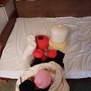 ���� �, �������� - ��������� 5 ����� 2026 � ������ ���� ����������