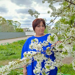 , 44 , 