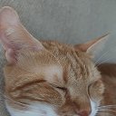 ���� Or, ������ - ��������� 23 ������ 2025 � ������ ������ ��������