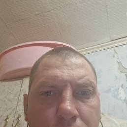 ����, 38 ���, ���������