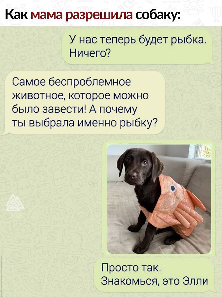   . ,  