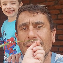 �������, ���������, 51 ���