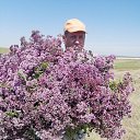 ���� �����, ��������, 61 ��� - ��������� 8 ����� 2026