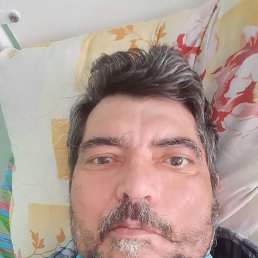 �����, 65 ���, ���������