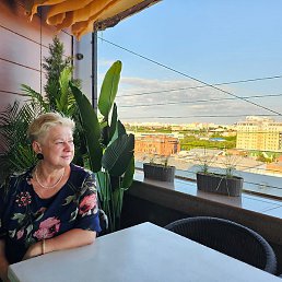 �����, ����, 55 ���