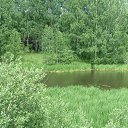 ���� ���������, �����, 55 ��� - ��������� 8 ����� 2025 � ������ ���� ���������� �����