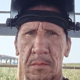 �����, �������, 44 ����