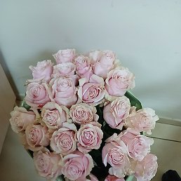 ������, �����, 61 ���