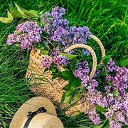 ���� ����, ������ - ��������� 5 ��� 2026 � ������ ������ ��������