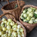 ���� ���������, ������, 70 ��� - ��������� 30 ������� 2024 � ������ ���� ����������