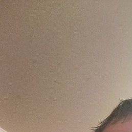 �������, ������������, 38 ���