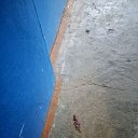 ���� �����, ������, 18 ��� - ��������� 18 ��� 2026 � ������ ���� ����������