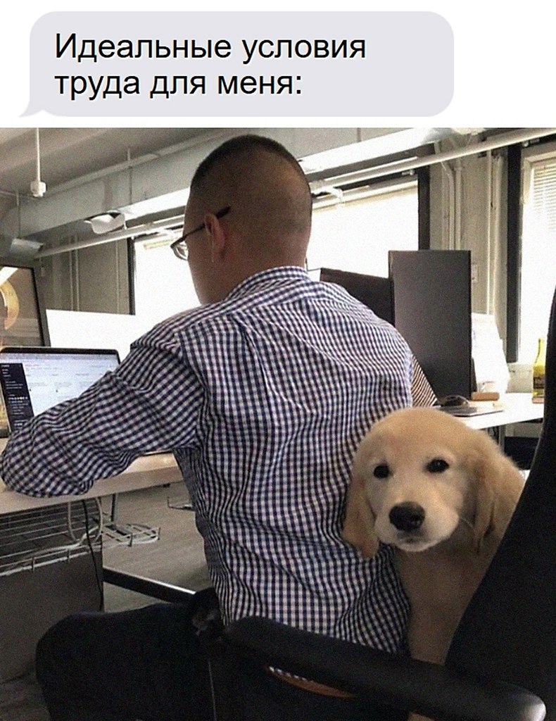��� �������� �������� - 7 ������� 2026 � 00:30