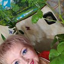 ���� �������, ������� ���� - ��������� 26 ������ 2025 � ������ ���� ����������