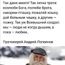 ���� ����, ������, 62 ���� - ��������� 29 ������� 2025 � ������ ������ ��������