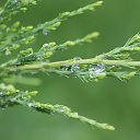  , --, 60  -  28  2025    