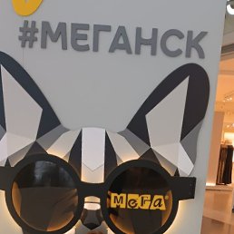 �����, ������, 59 ���