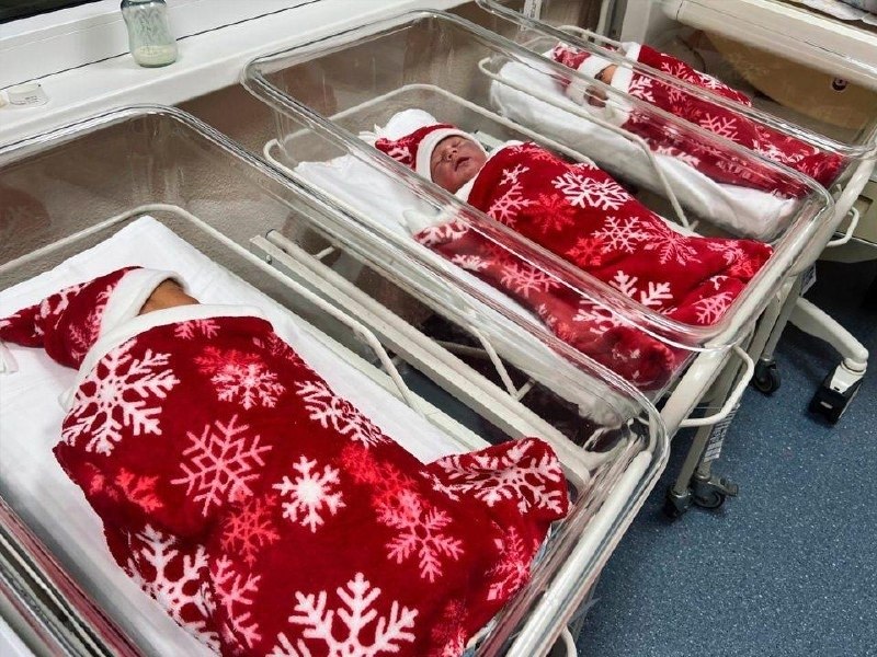 ���� �������� � ������� �������� � ���������� ������� � �����������.������ ����� �������� �������� ...