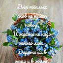 ���� �������, ������, 77 ��� - ��������� 14 ������ 2025 � ������ ������ ��������