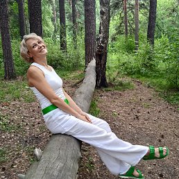 ���� �����, ������, 48 ��� - ��������� 8 ������ 2026