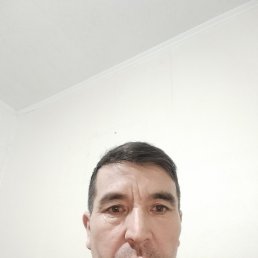 , 51, 