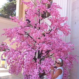 ���� ������, ������������, 46 ��� - ��������� 24 ������� 2025