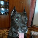 ���� Elena, �������, 72 ���� - ��������� 2 ������� 2025 � ������ ������ ��������