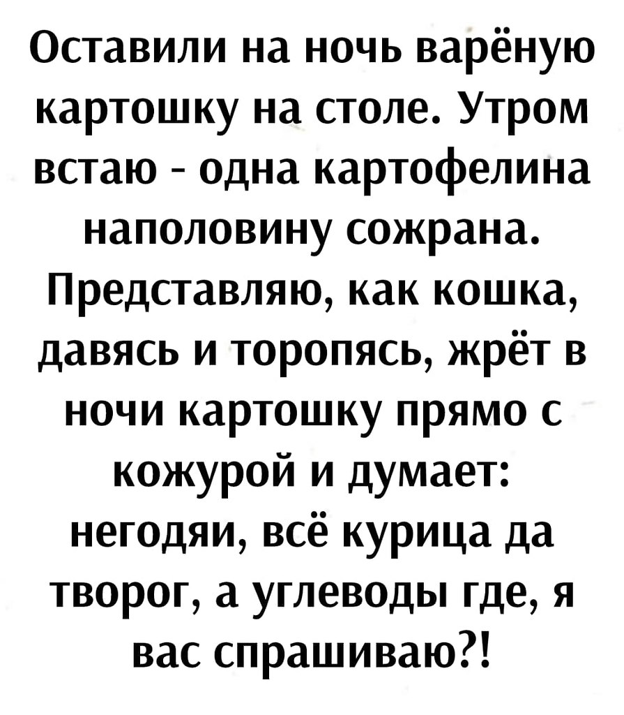 ��� ���� � ����� �� �� - 2 ��� 2026 � 22:55