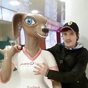 ���� ������, �����-���������, 37 ��� - ��������� 2 ������ 2026 � ������ ���� ����������