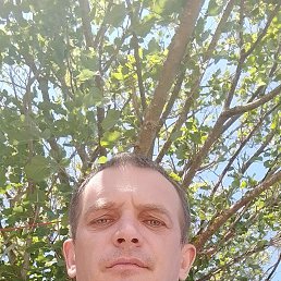 , 37, 