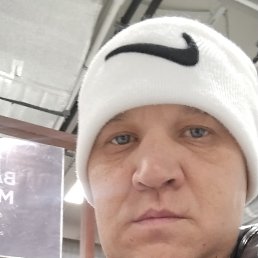 ������, 37 ���, ������